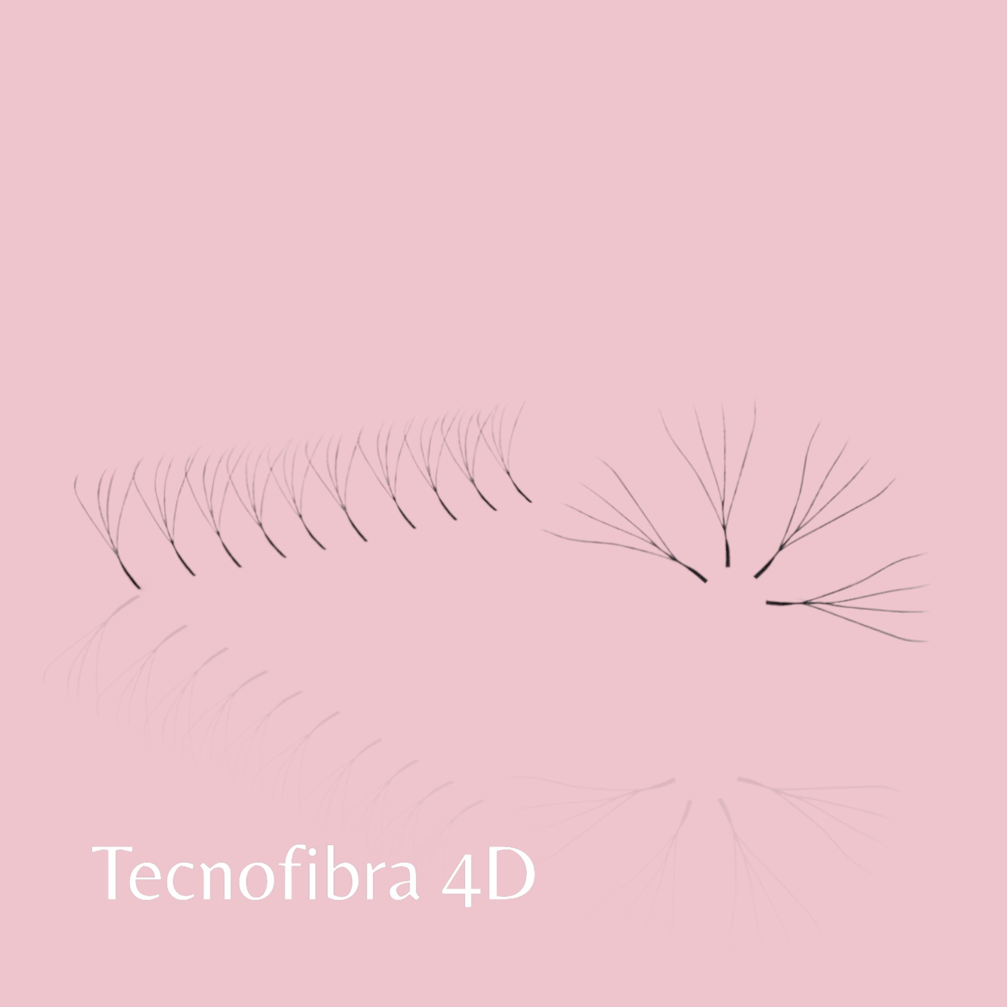TecnoFibra 4D